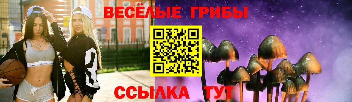 Псилоцибиновые грибы мицелий  Вход с VPN  Зерноград 
